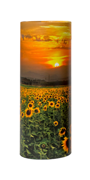 Sunflower Scatter Tube Adult